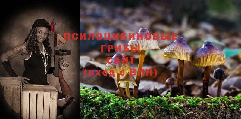 OMG ONION  Нюрба  Псилоцибиновые грибы Magic Shrooms 